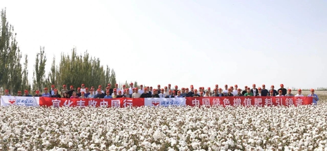 宜化豐收中國(guó)行！新疆棉花大型測(cè)產(chǎn)觀摩會(huì)成功舉行(圖1)
